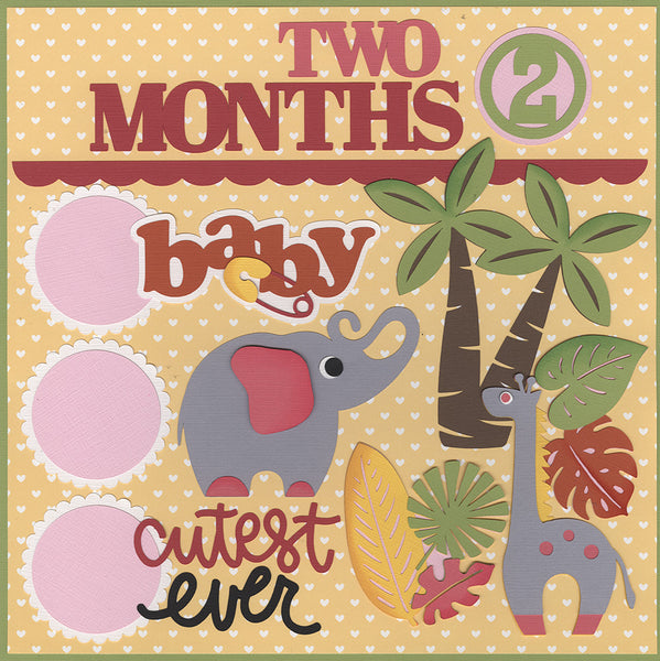 Diecuts: Baby Girl 2 Months