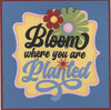 Bloom Where You Are Planted Diecut & Pattern Paper