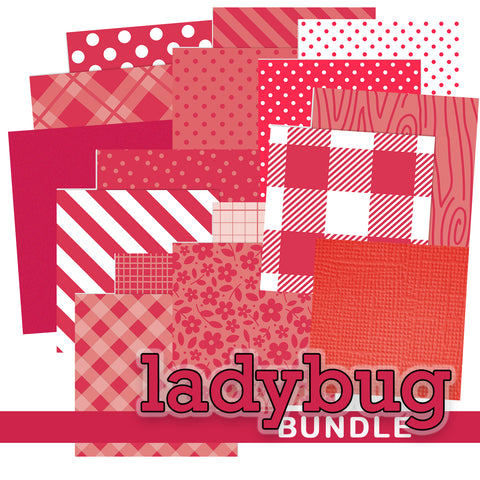 Doodlebug Color Bundles: Ladybug