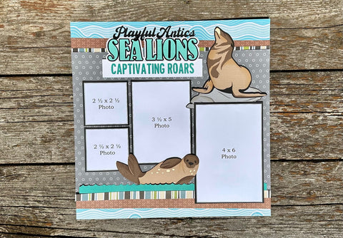 *NEW* It's a Zoo In Here Collection: Sea Lions SINGLE