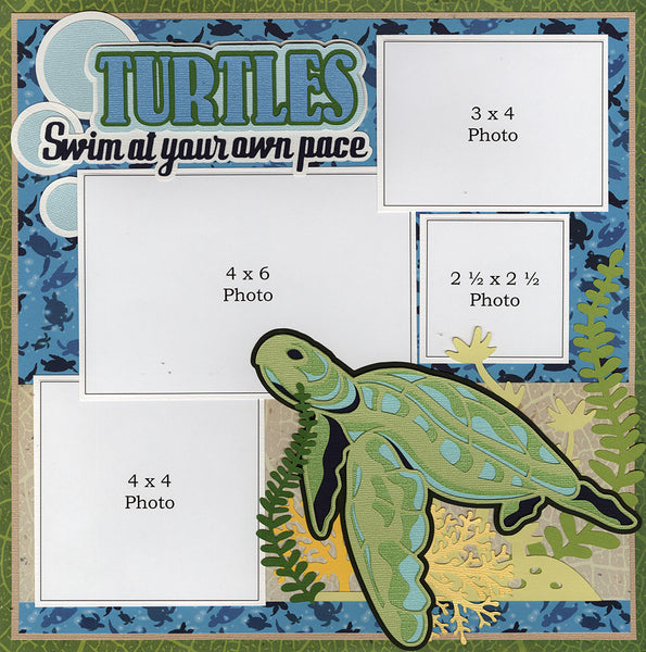 *NEW* It's a Zoo In Here Collection: Turtle SINGLE