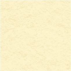 My Colors Classic Cardstock: Ivory
