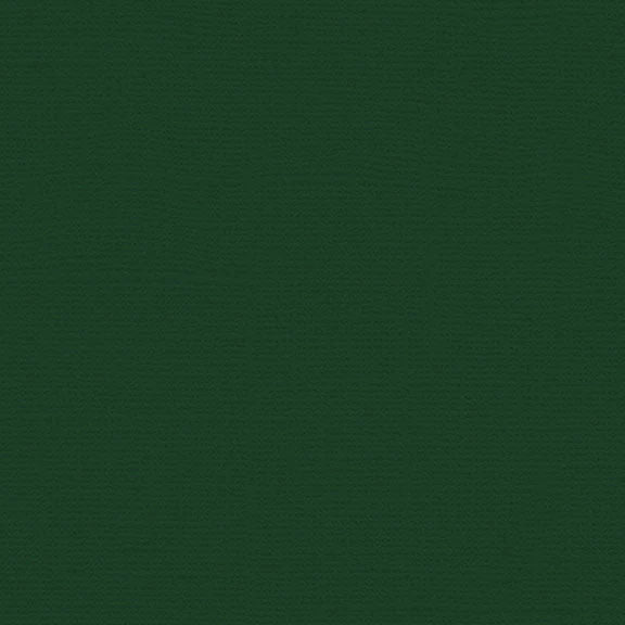 12x12 Canvas Sheet - Green