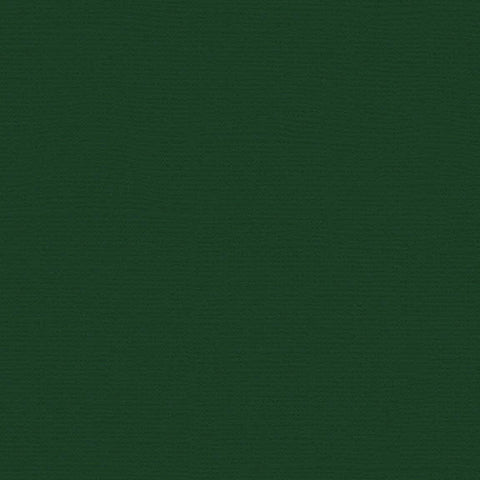My Colors Canvas Cardstock: Evergreen