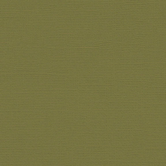 My Colors Canvas Cardstock: Grasshopper