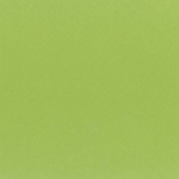 My Colors Classic Cardstock: Key Lime