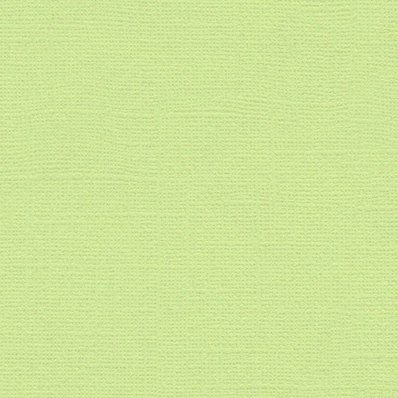 My Colors Canvas Cardstock: Lime Pop